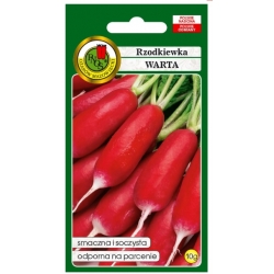 nasiona Rzodkiewka Warta pnos362